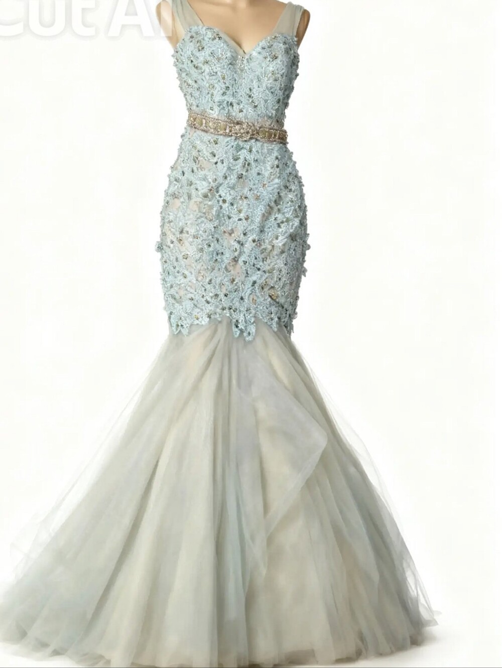 Elegant Terquaze Embellished Mermaid Dress